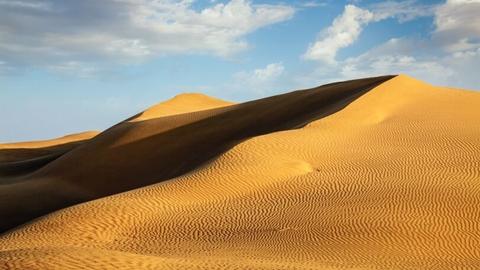 Image: Sand dunes in the Thar Desert in Rajasthan, India. (Credit: Dmitry Rukhlenko)