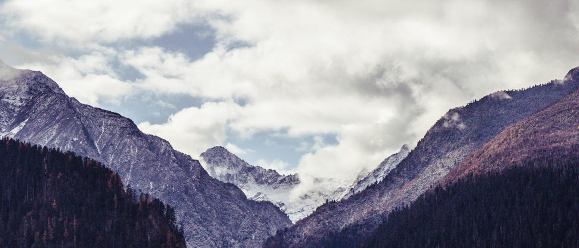 cropped_clearing_the_air_research_detail_page_banner_from_unsplash