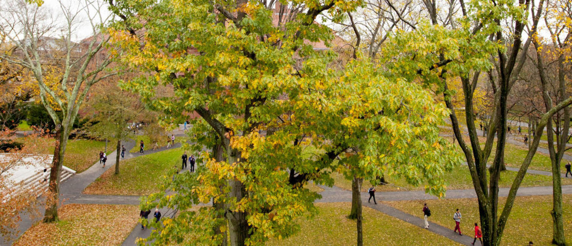cropped_contact_us_banner